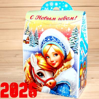 Детский новогодний подарок 2026 в Химках    